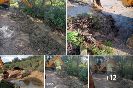 الأحد 01 فيفري 2026